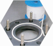 PTFE-Flachdichtung